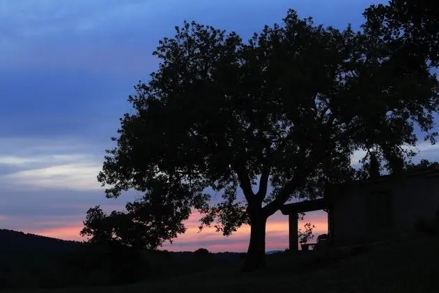 Family Apart Daire, 2 Yatak Odası, Engellilere Uygun, Tepe Manzaralı