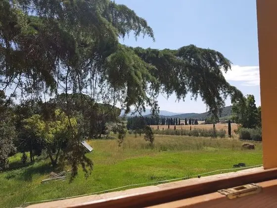 Tek Büyük Yataklı Oda, Bahçe Manzaralı