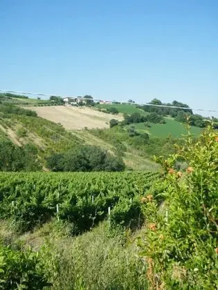 Stüdyo, Bahçe Manzaralı