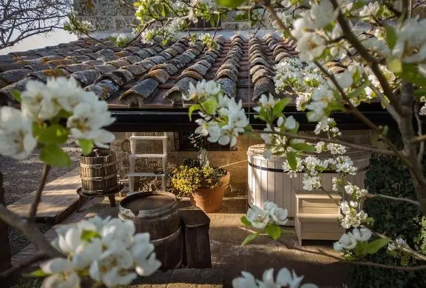 Deluxe Süit, Sıcak Su Havuzu (Rustica)