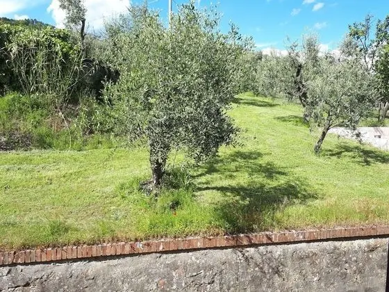 Family Dört Kişilik Oda, 2 Yatak Odası