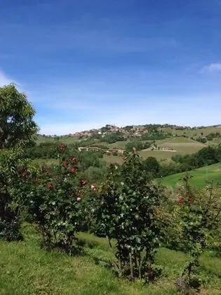 Stüdyo, Küçük Mutfak