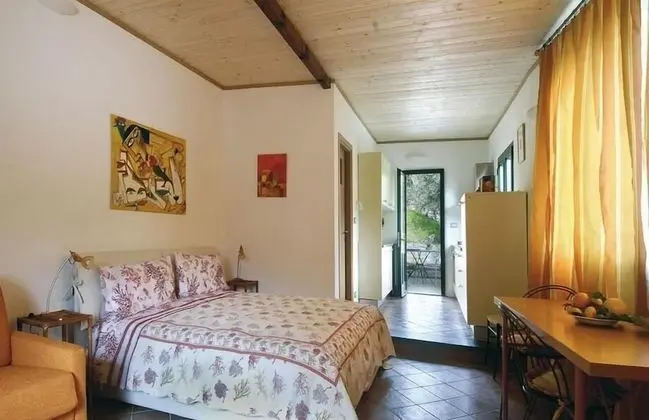 Stüdyo, Üzüm Asması Manzaralı