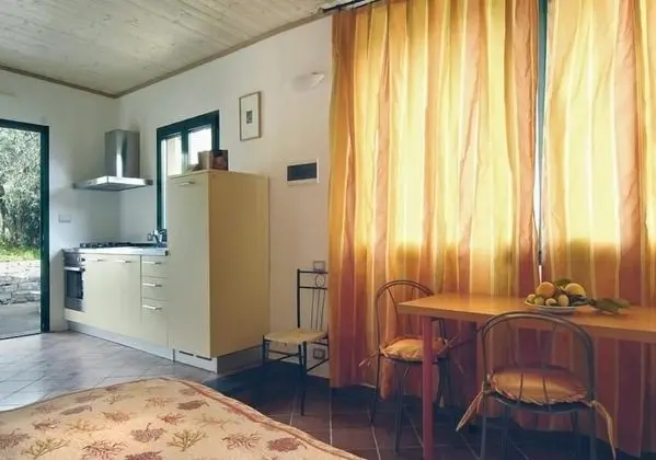 Stüdyo, Üzüm Asması Manzaralı