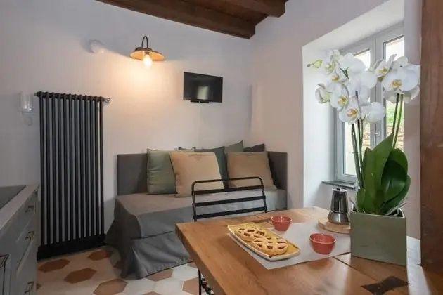 Apart Daire, 1 Yatak Odası (Limoni)