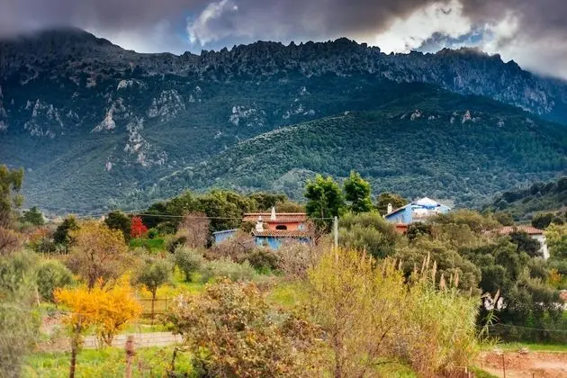 Tek Büyük Yataklı Oda, Engellilere Uygun, Sigara İçilmez