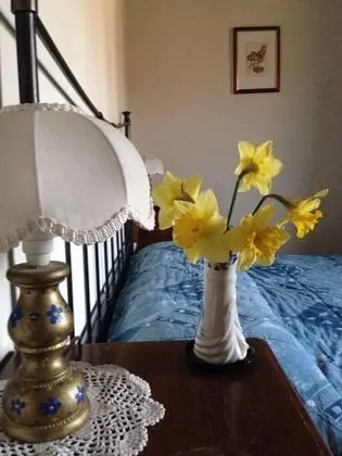 Apart Daire, 1 Büyük (Queen) Boy Yatak ve Çekyat