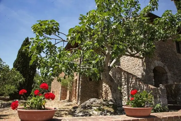 Apart Daire, 1 Yatak Odası, Teras, Dağ Manzaralı (Il Fico )