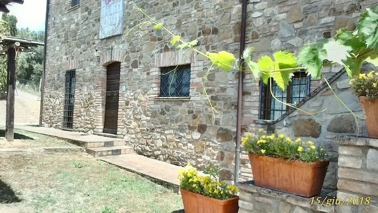 Comfort Tek Büyük Yataklı Oda, Bahçe Manzaralı