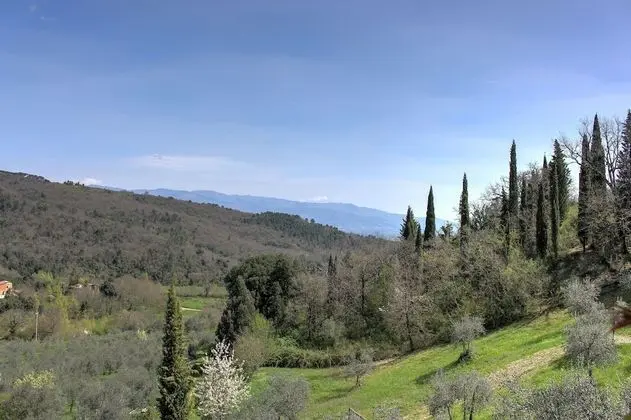 Apart Daire, 1 Yatak Odası (Camelie)