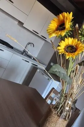 Apart Daire, Göl Manzaralı (Loft)