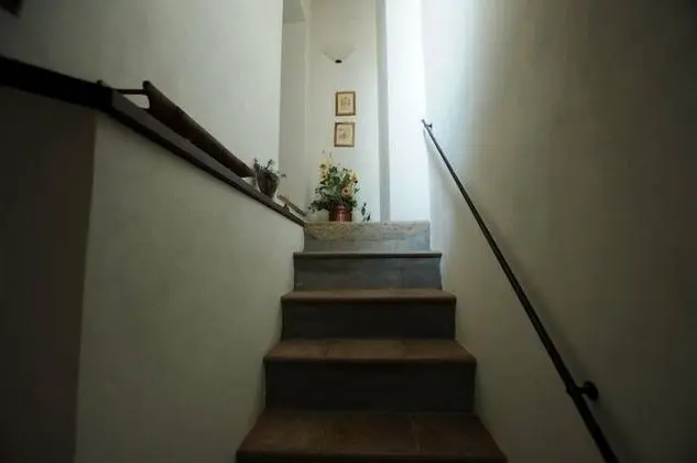 Apart Daire, Üzüm Asması Manzaralı