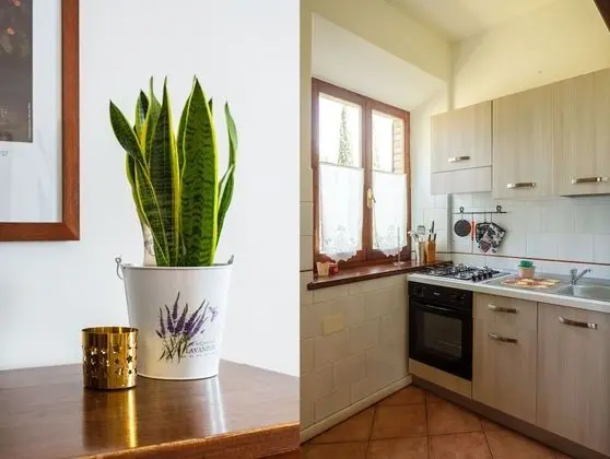 Apart Daire, 2 Yatak Odası, Bahçe Manzaralı