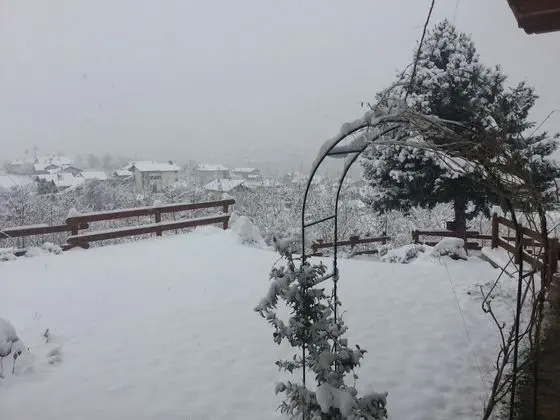 Classic Oda, 1 Yatak Odası