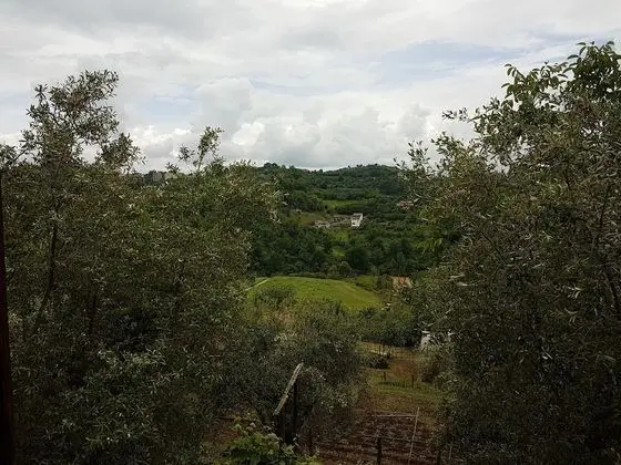 Basic Dağ Evi, 1 Çift Kişilik Yatak