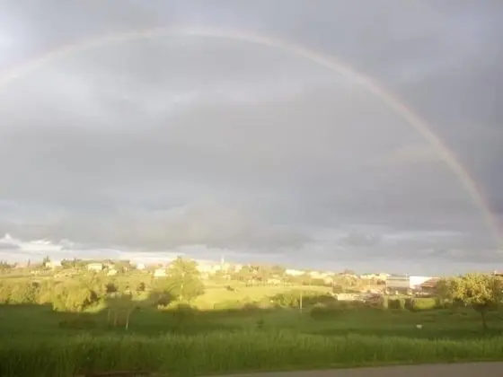 Apart Daire, 1 Yatak Odası, Mutfak (Zafferano)