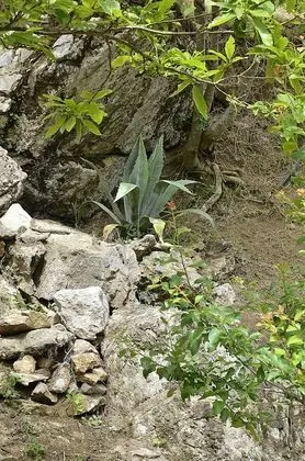 Deluxe Apart Daire, 2 Yatak Odası (up to 6 people)