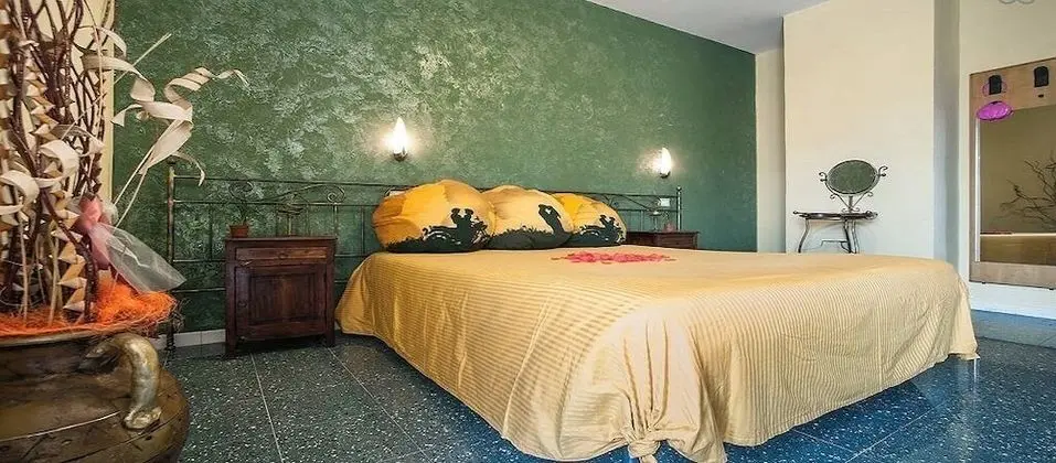 Tek Büyük Yataklı Oda (Mimosa 3)