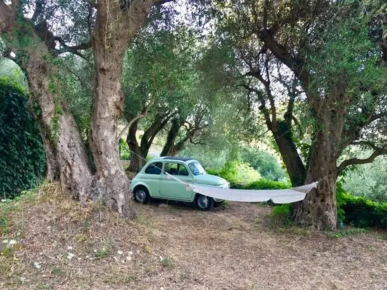 Panoramic Ev, Birden Çok Yatak, Mutfak, Vadi Manzaralı