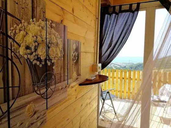 Design Çadır