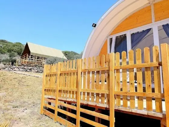 Design Çadır