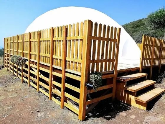 Design Çadır