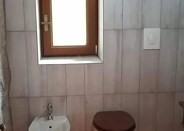 Dört Kişilik Oda, Ortak Banyo (Jack Russell Terrier)