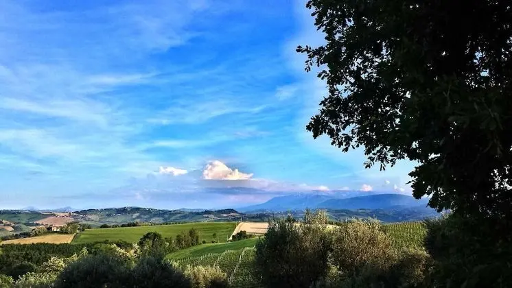 Comfort Tek Büyük veya İki Ayrı Yataklı Oda