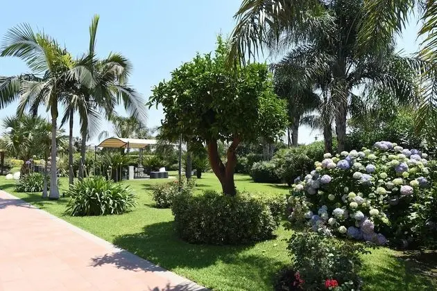 Elite Üç Kişilik Oda (Cedro)