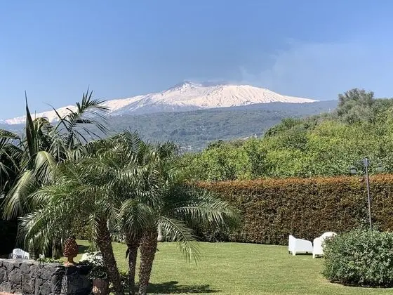 Superior Tek Büyük Yataklı Oda, Teras (Nostrale)