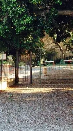 Family Stüdyo, Birden Çok Yatak, Bahçe Manzaralı (3)