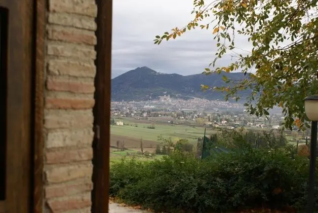 Stüdyo, Küçük Mutfak, Bahçe Manzaralı