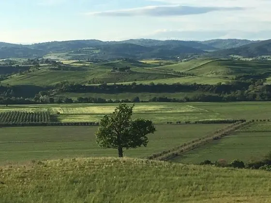 Deluxe Oda, 1 Büyük (Queen) Boy Yatak (La Casetta)