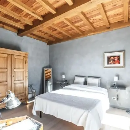 Tek Büyük Yataklı Oda, Bahçe Manzaralı (Langhe)