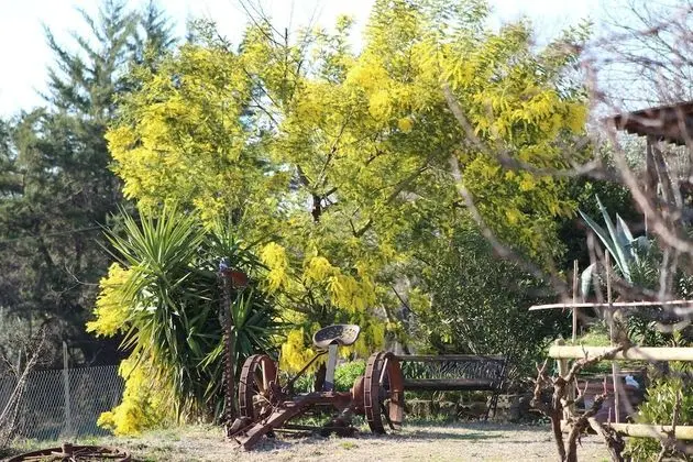 Stüdyo, Tepe Manzaralı
