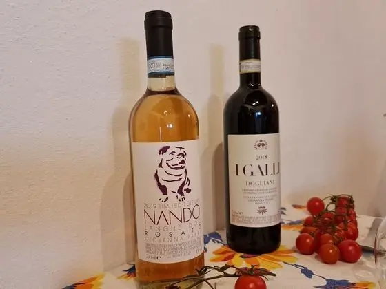 Standard Apart Daire, 1 Yatak Odası, Sigara İçilmez, Bahçe Manzaralı