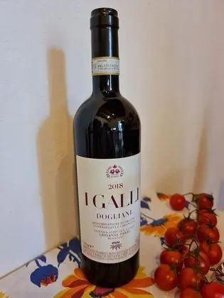 Standard Apart Daire, 1 Yatak Odası, Sigara İçilmez, Bahçe Manzaralı