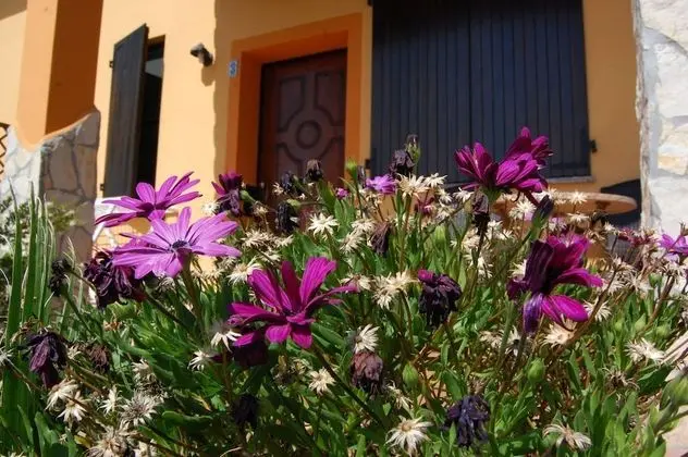 Tek Büyük Yataklı Oda, Veranda