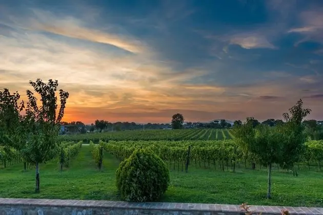 Comfort Apart Daire, 1 Yatak Odası