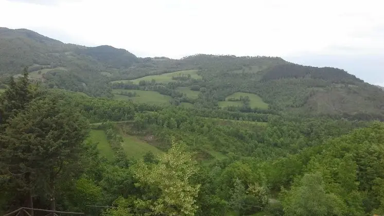 Traditional Dört Kişilik Oda, Banyolu/Duşlu, Dağ Manzaralı