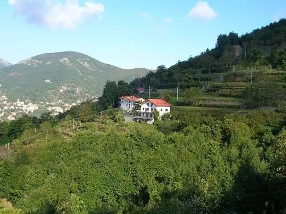 Panoramic Üç Kişilik Oda