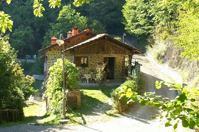 Luxury Apart Daire, 1 Yatak Odası