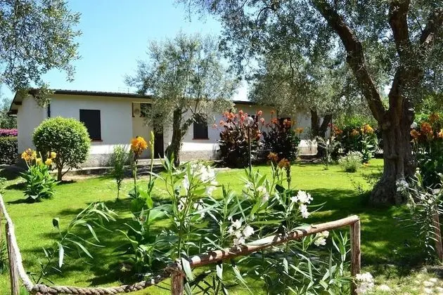 Classic Tek Büyük Yataklı Oda