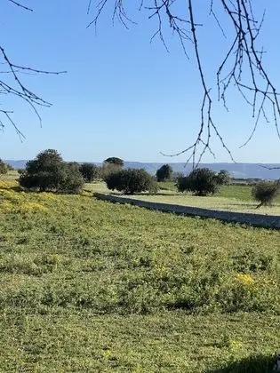 Tek Büyük Yataklı Oda, Küçük Mutfak