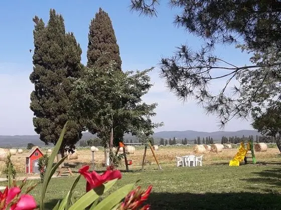 Stüdyo Süit, 1 Yatak Odası, Engellilere Uygun (Cipresso)