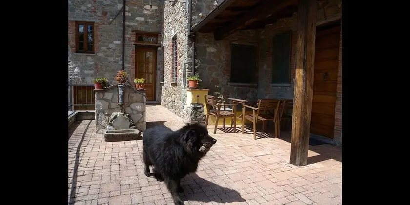 Traditional Dubleks, 2 Yatak Odası (Quercia)