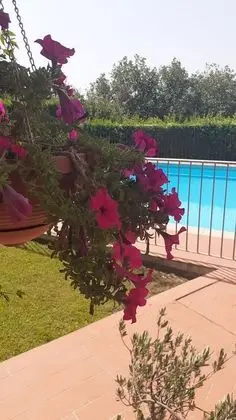 Apart Daire, 2 Yatak Odası, Veranda