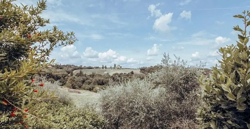 Apart Daire, Bahçe Manzaralı (Lo Scricciolo)