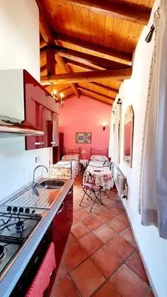 Comfort Stüdyo, 1 Yatak Odası, Mutfak, Bahçe Manzaralı