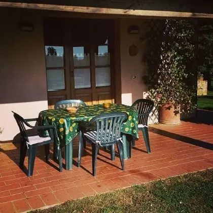 Çatı Katı Süiti (Penthouse)